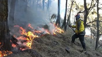 Tinggal 2 Titik Api Tersisa di Sumbar dari Seratusan yang Muncul 4 Hari Terakhir