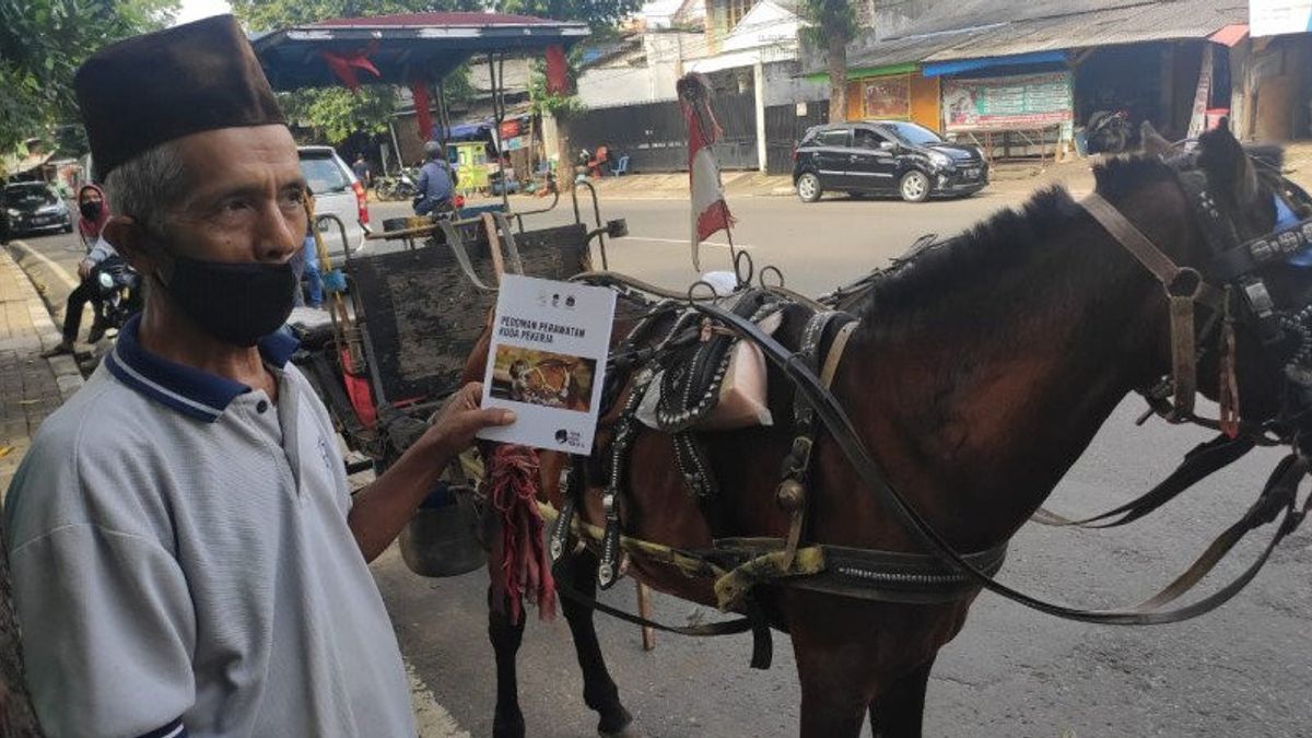 39 Delman Horses In South Jakarta Receive Free Vaccination Assistance