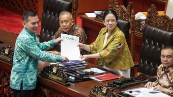 农业部长将未来3个月的粮食自给自足定位,DPR:人们正在等待证据,而不仅仅是承诺