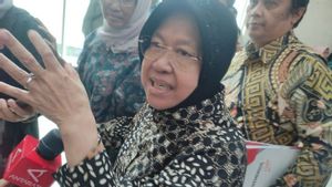Mensos Perjuangkan Peningkatan Status Pendamping PKH Setara ASN