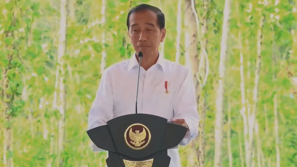 Jokowi Lands For The First Time At IKN VVIP Airport: Smooth Runway, Everything Smooth