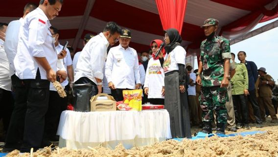 Mentan Syahrul Ingin Pengembangan Sorgum hingga Jadi Komoditas Strategis