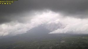 Gunung Semeru Erupsi Disertai Luncuran Awan Panas Sejauh 4 Km