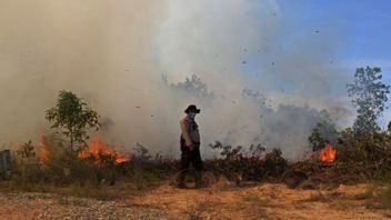 Overcoming Forest And Land Fires, BRIN Collaborates With BRGM To Do A Second Artificial Rain TMC In Riau