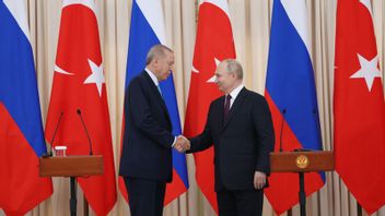 President Erdogan And Putin Open Opportunities For Recovery Of Black Sea Grain Deal, Ukraine Wants Alternative Paths