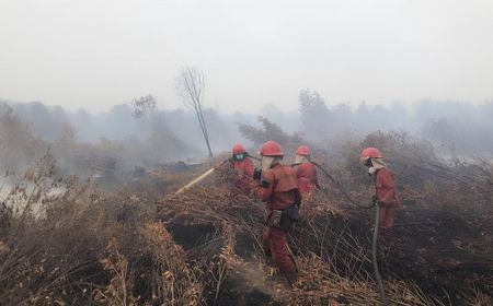 Karhutla di Indonesia Capai 994 Ribu Hektare hingga Oktober 2023