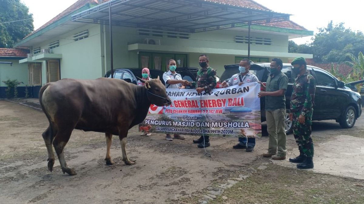 PT GEB PLTU Celukan Bawang交出7头母牛和15只山羊
