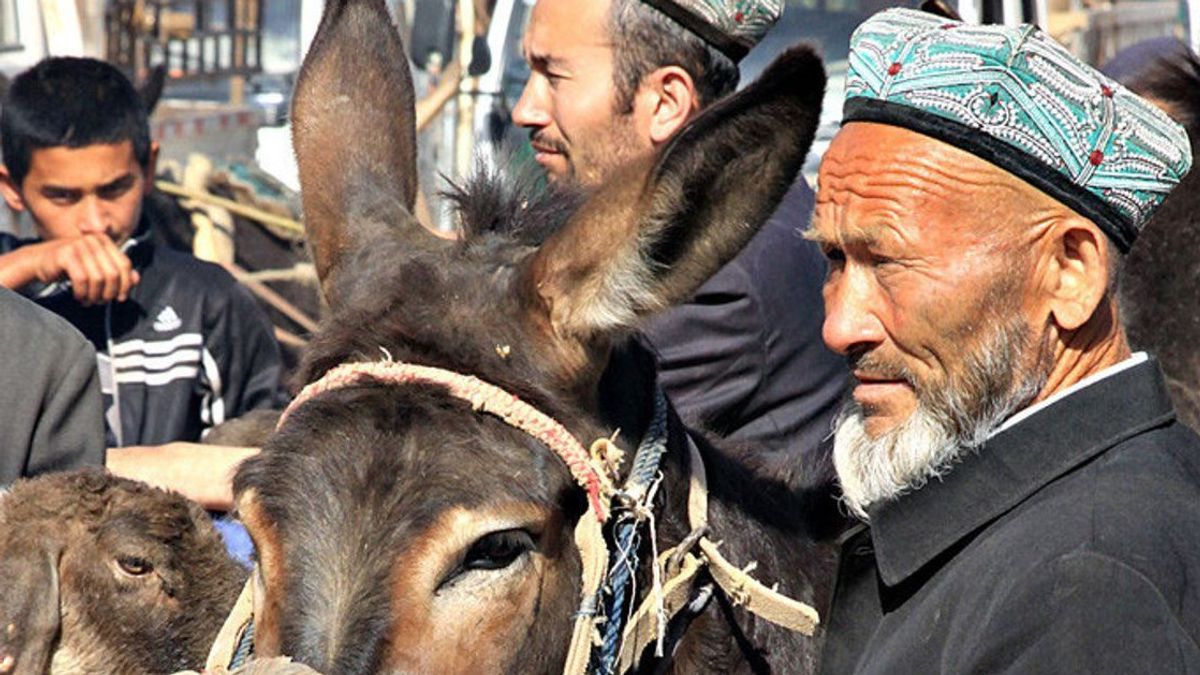 La Commission Du Congrès Américain Révèle Les Crimes Humanitaires Et Le Génocide Présumé Des Musulmans Ouïghours Au Xinjiang