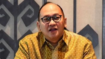 Danantara Klaim Investor Jepang hingga Belanda Minat Investasi di Proyek Pengolahan Sampah jadi Listrik