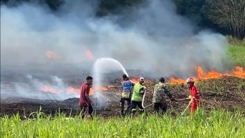 Again, Smoke Fog Makes Schools In Palangka Raya, Central Kalimantan Apply Online Learning