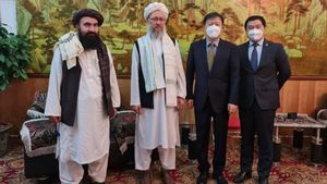 Adakan Pertemuan di Kabul, Duta Besar China dan Pemimpin Taliban Bahas Keamanan hingga Bantuan Kemanusiaan