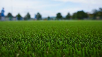 Types, Excess And Lack Of Synthetic Grass For Outdoor Parks