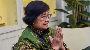 Perkenalkan, Siti Nurbaya Bakar, Menteri LHK, Pembangunan, Emisi Karbon, dan Deforestasi