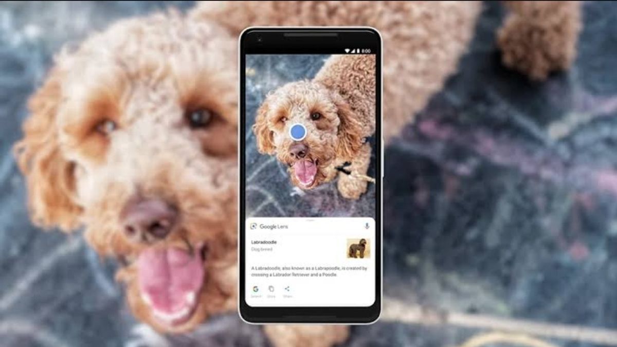 أطلقت Google Lens قدرات البحث عن الأشياء باستخدام مقاطع الفيديو