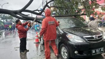 巴东天气恶劣，强风压倒居民汽车树木倒塌