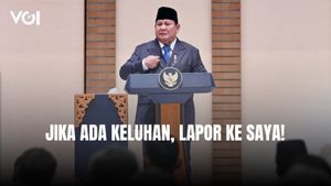 Presiden Prabowo Minta Pengusaha Jepang Lapor, Jika Ada Keluhan Berinvestasi di Indonesia