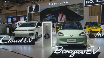 BinguoEV أصبح نموذج Wuling الأكثر طلبا في GIIAS 2024