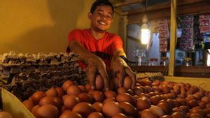Satgas Pangan Polri Turun Tangan Identifikasi Penyebab Kenaikan Harga Telur Ayam