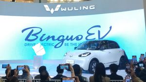 Wuling Resmi Perkenalkan Mobil Listrik Baru, BinguoEV di Indonesia