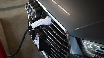 加利福尼亚州成为美国电动汽车采用率最高的国家