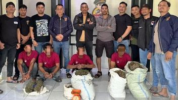 <i>Nyamar</i> Jadi Pembeli, 4 Pengedar Ganja di Aceh Ditangkap dan 21 Kg Ganja Disita