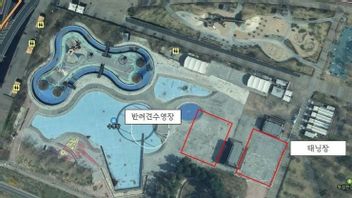 Seoul Owns A General Swimming Pool For The First Dog In Han River Park, Supervised By Expert Coach