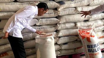 At The End Of The Year Is Safe, Jokowi Ensures National Rice Stocks Are Acquired