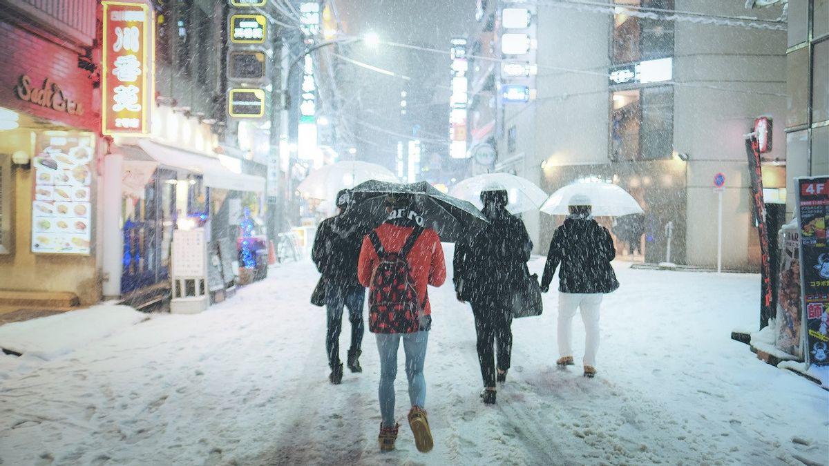 De fortes glaces de la neige ont fait plus de 130 blessés à Tokyo