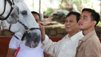 Gerindra Said, There Was Nothing Special About Gibran's Visit To Hambalang To Meet Prabowo