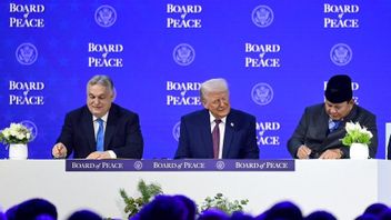 La participation au conseil de paix de Trump est une preuve de l'engagement de l'Indonesian pour la Palestine