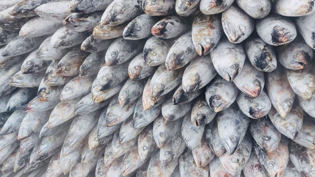 ランプン米国への漁業輸出額は1兆1,300億ルピアに達しました。