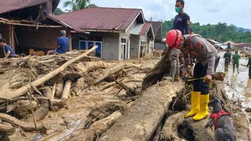 Korban Bencana Aceh 389 Jiwa, Pengungsi Melonjak 1 Juta Lebih