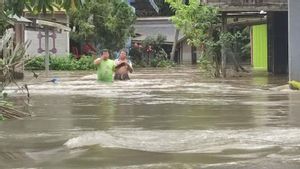 BPBD: Banjir Melanda 31 Desa dan Kelurahan di Barito Timur