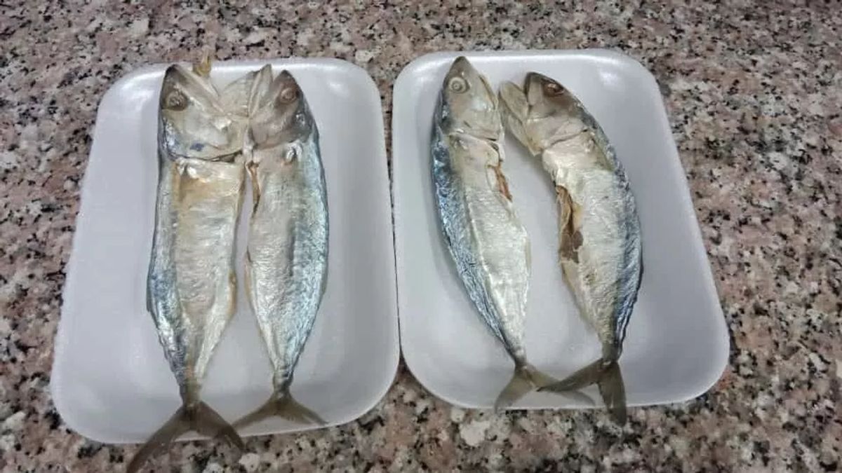 Le sel de poisson contient-il du cholestérol? Voici une explication complète et des faits sur la santé