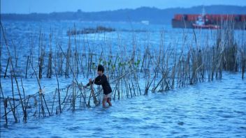 Potential To Install 2.8 Meters Sea Water On The Coast Of East Kalimantan, Activities At Ports And Tambak Asked To Be Alert