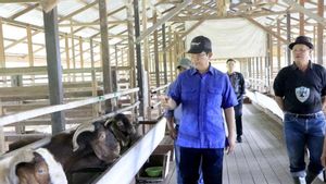 Wagub Kaltara Serahkan Bantuan Bibit Kambing