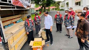 Jokowi Terima Jeruk 3 Ton dari Warga Karo Tapi Tak Lapor KPK, Setneg: Presiden Serahkan Pembayaran Sendiri