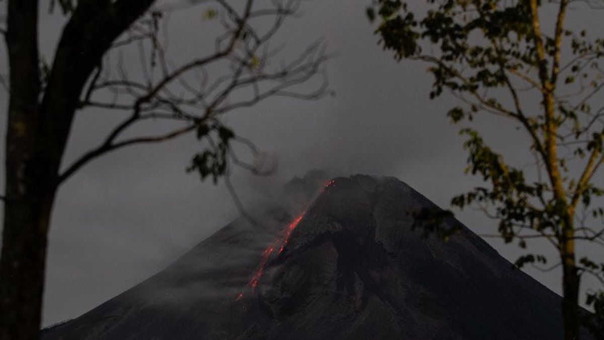 Gunung Merapi Erupsi, Muntahkan Lava Pijar 8 Kali ke Barat Daya  