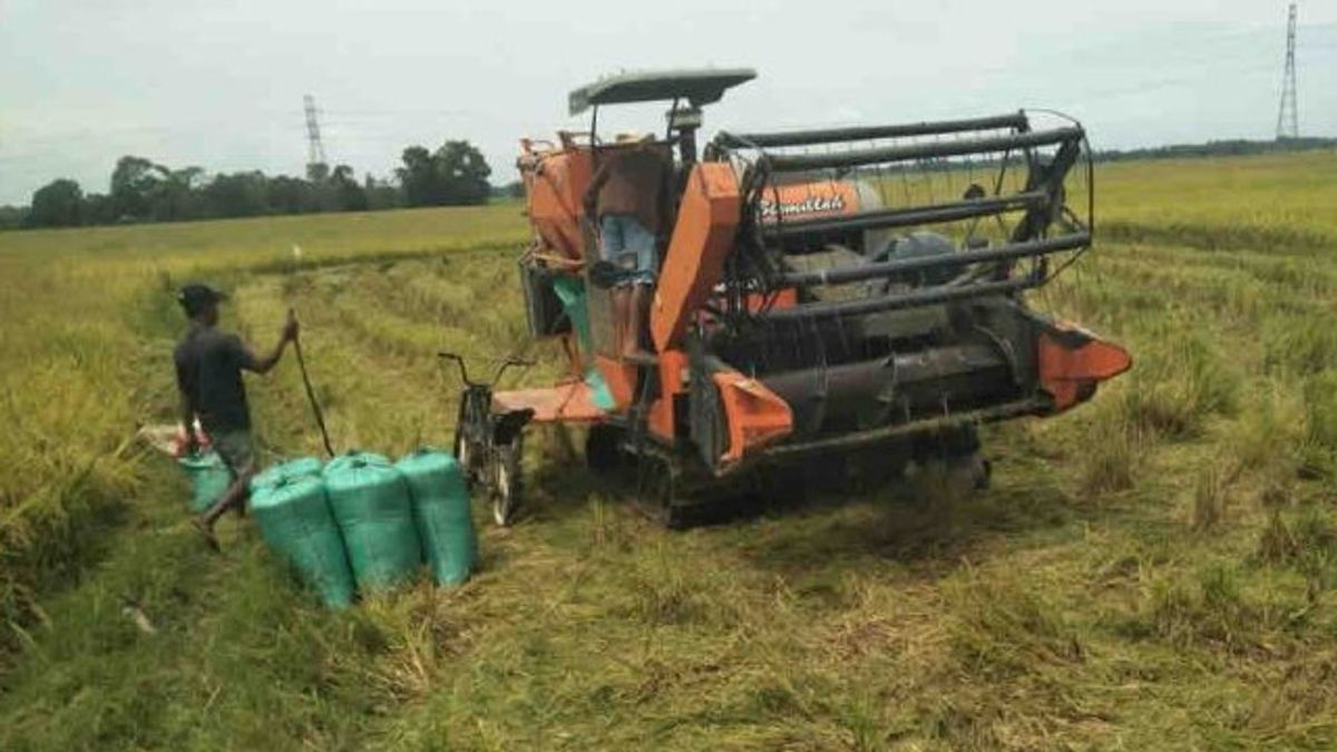 وزير الزراعة عمران يشجع على استخدام تكنولوجيا ألسينتان لزيادة الإنتاج الوطني للأرز