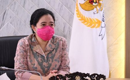 Putri Megawati, Puan Maharani Diprediksi Bisa 'Singkirkan' Ganjar atau Risma dari Pilpres 2024