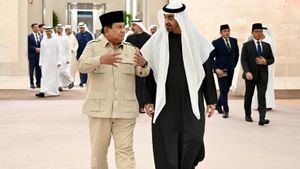 Prabowo Disambut Hangat di Abu Dhabi, Fokus Bahas Kondisi Timur Tengah