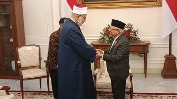 访问了副大谢赫·爱资哈尔,印度尼西亚共和国-埃及关系评估副总统