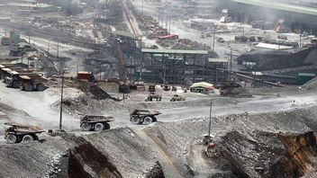 Freeport Berencana Ganti PLTU Captive dengan LNG