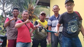 Firefighters Evacuate Cobras Entering Sei Lekop Residents' Wells, East Bintan