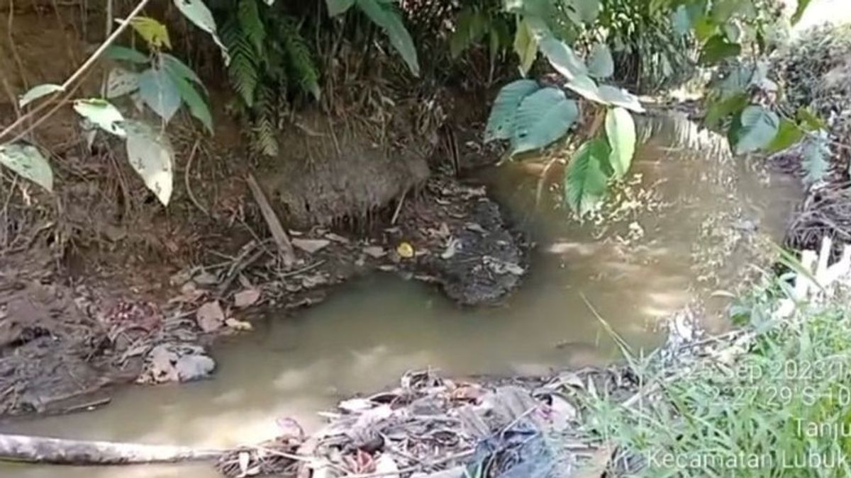 Buang Limbah ke Sungai, DLH Mukomuko Ingatkan PT KSM Segera Berhenti
