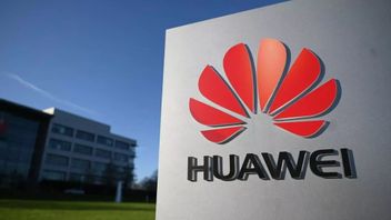 Corporate Revenue Drops, Huawei: We Just Want To Survive