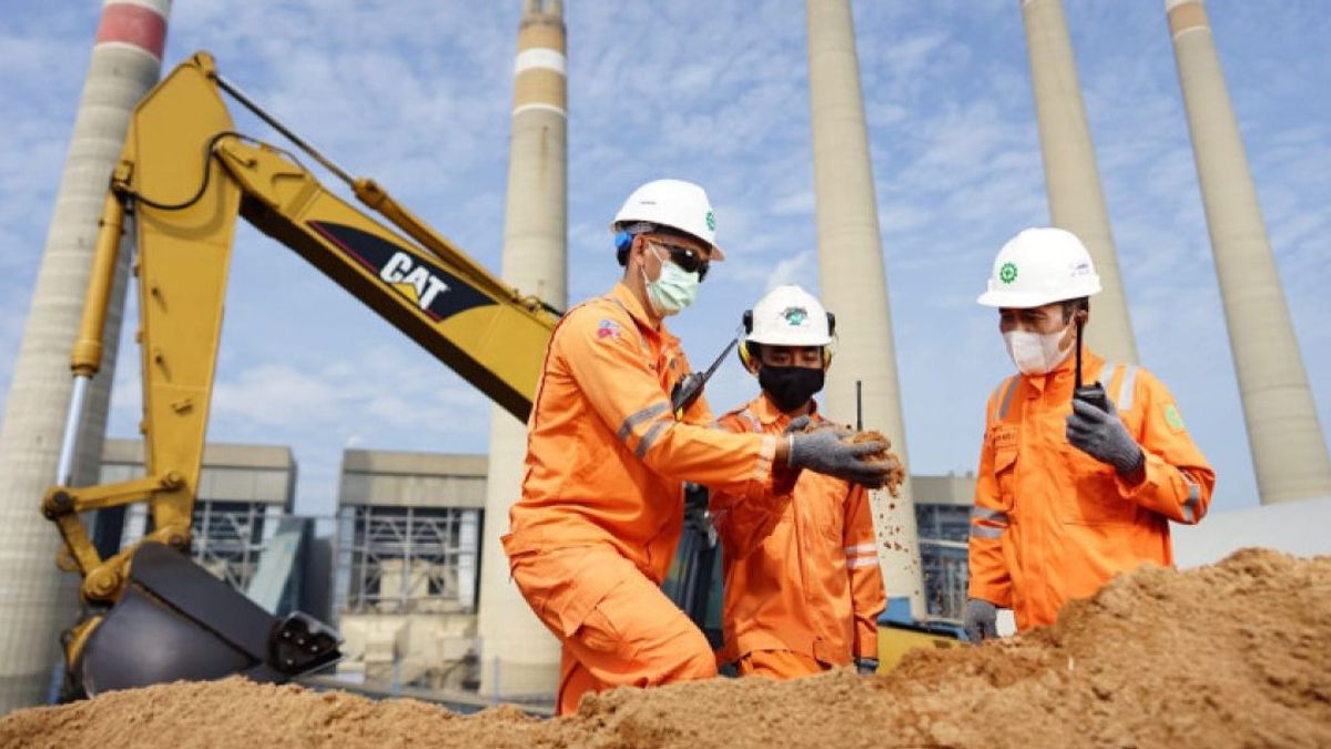 PLN EPI Perkuat Kerja Sama Biomassa Batang Singkong dan Karet di Lampung