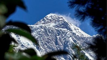 世界のユニークな事実:エベレスト山からニル川の事実まで