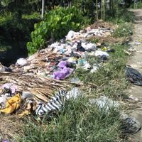 TPA di Blok A Kecamatan Pujut Lombok Tengah Penuh dengan Tumpukan Sampah Rumah Tangga dan Kantong Plastik