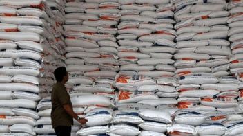 Bulog Menuju Badan Pemerintah, Bapanas akan Dilebur Sebagian ke Kementan